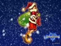 Kingdom Hearts CoM 05